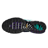 Nike Air Max Plus TN Grape Shoes